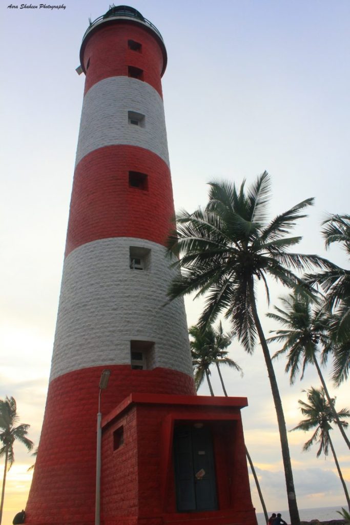Lighthouse next to trees.
Lighthouse-Beach