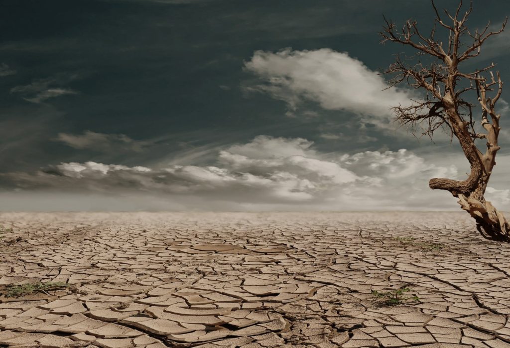 drought ridden landscape